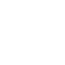 Global Icon